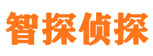 安图侦探